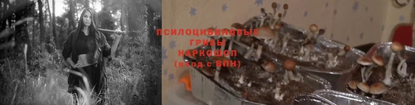 синтетический гашиш Алексеевка