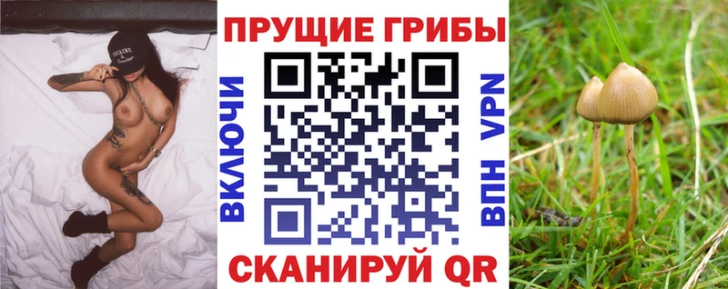 Псилоцибиновые грибы MAGIC MUSHROOMS  Михайловск 